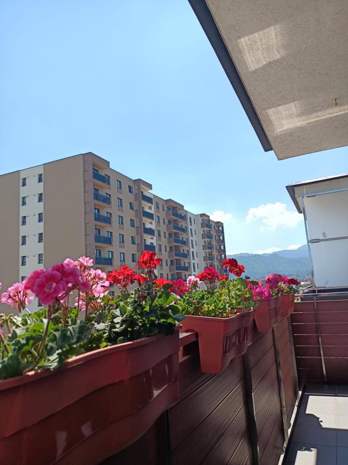 Ariel - Balcony & Free Parking *